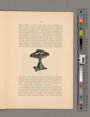 Go to image 26.