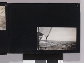 Go to image 12.