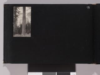 Go to image 80.