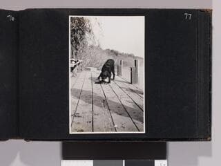 Go to image 79.