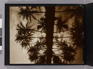 Go to image 38.