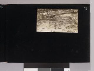 Go to image 79.