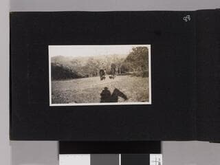 Go to image 90.