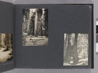 Go to image 45.