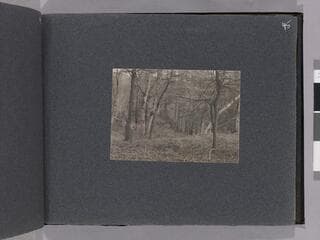 Go to image 47.