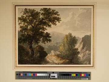 Trees and Hills