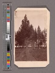 Go to image 1.