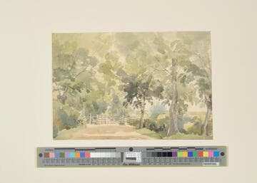 Country Lane