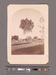 Go to image 1.