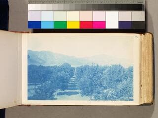Go to image 44.