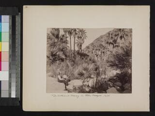 Go to image 12.