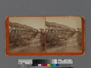 Go to image 1.