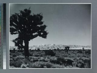 Go to image 7.