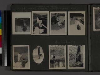 Go to image 12.
