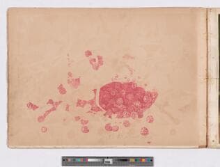Go to image 29.