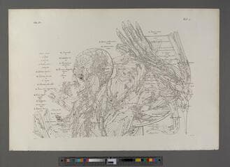 Go to image 291.