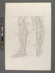 Go to image 275.