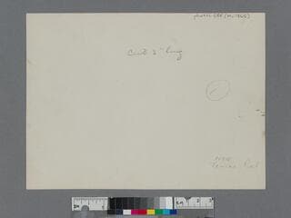 Go to image 2.