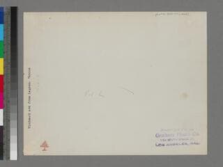 Go to image 2.