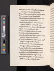 Go to image 226.