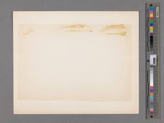 Go to image 2.