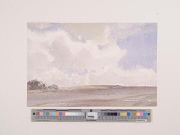 Windy Landscape