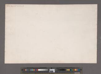 Go to image 40.