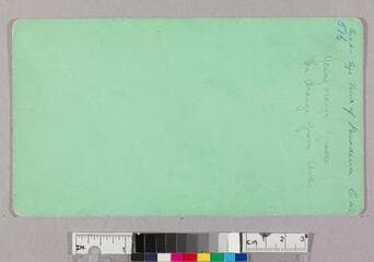 Go to image 2.