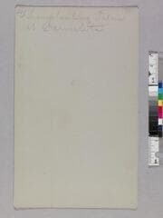 Go to image 2.