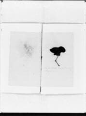 Go to image 37.