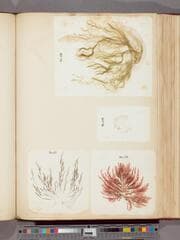 Go to image 55.