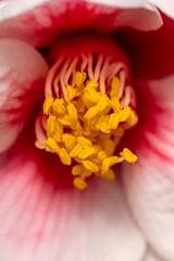Go to image 6.