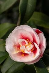 Go to image 7.