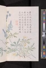 Go to image 124.