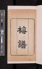 Go to image 245.