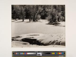 Go to image 1.