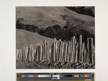 Old Big Sur Road
