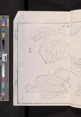 Go to image 61.
