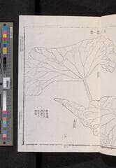 Go to image 69.