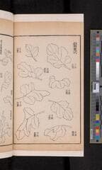 Go to image 374.