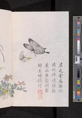 Go to image 146.