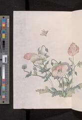 Go to image 149.