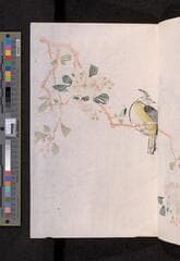 Go to image 319.