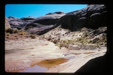 Up Moepitz Creek