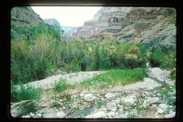 Spring Canyon