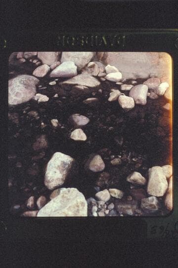 Black Water