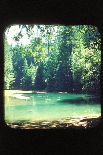The Lake