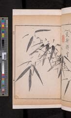Go to image 229.