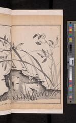 Go to image 104.