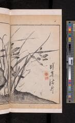 Go to image 122.